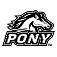 Pony