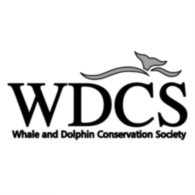 Wdcs