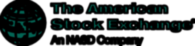 American Stock Exchange
