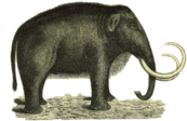 Mammoth Retro Picture Clipart