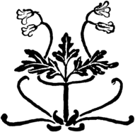 Leaves and Flowers Art Nouveau Ornament