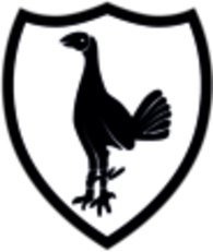Tottenham Hotspur