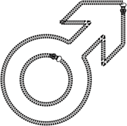 Male Symbol Zippers