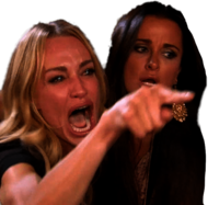 Woman Yelling At Cat Meme