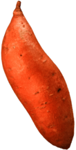 Single Yam