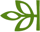 Ancestry logo thumbnail