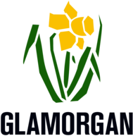 Glamorgan Cricket 
