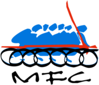 Movimiento Furiosos Cilistas Chile