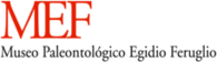 Museo Emilio Feruglio