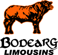 Bodearg Limousins