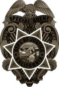 Special Agent Department of Justice