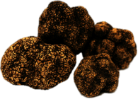 Himalayan Black Truffle
