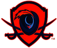 Virginia Cavaliers Alternate 