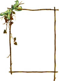 Sticks and Leaves Frame