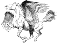 Pegasus Black and White Drawing