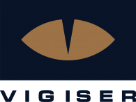 Vigiser