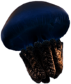Blue Jellyfish