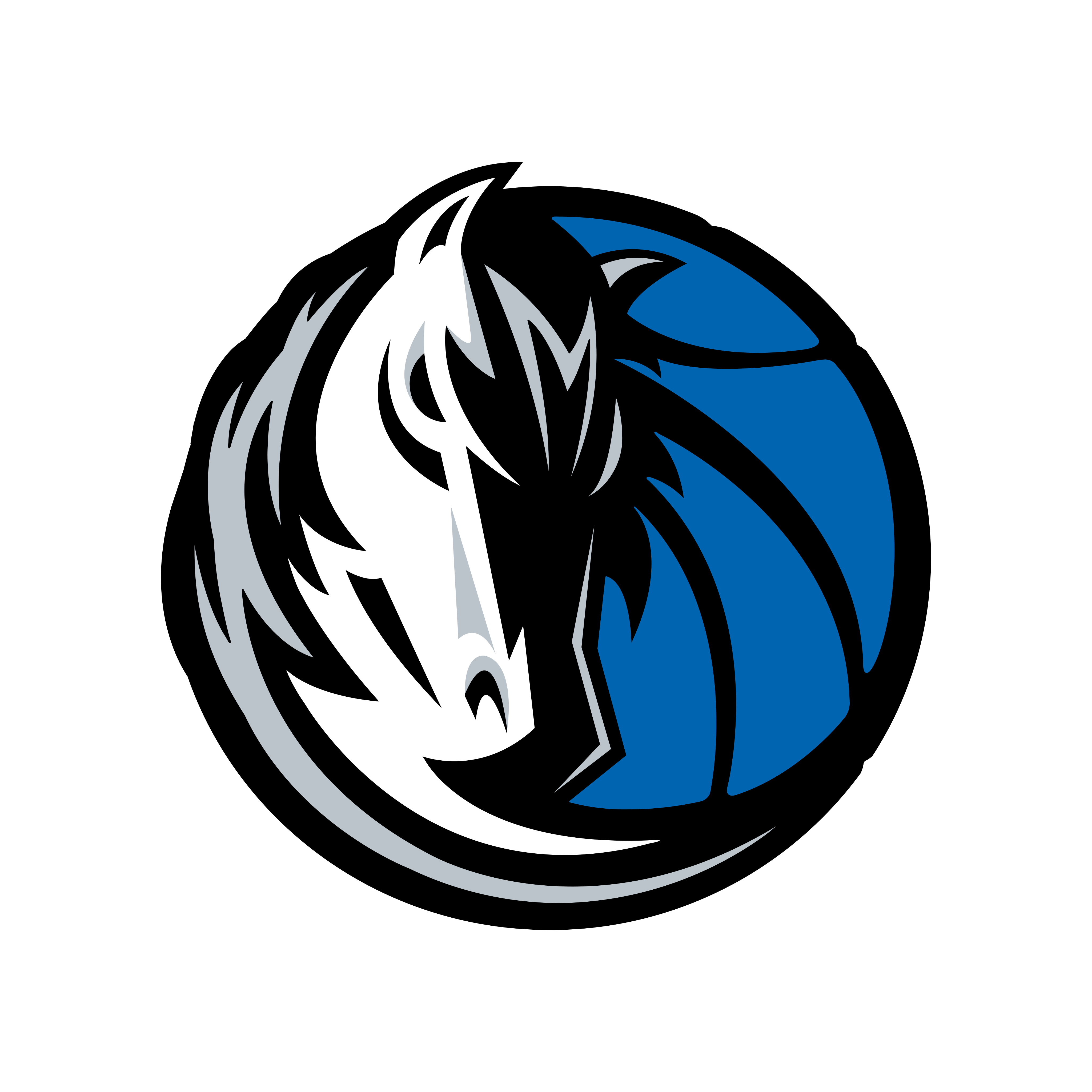Dallas Mavericks