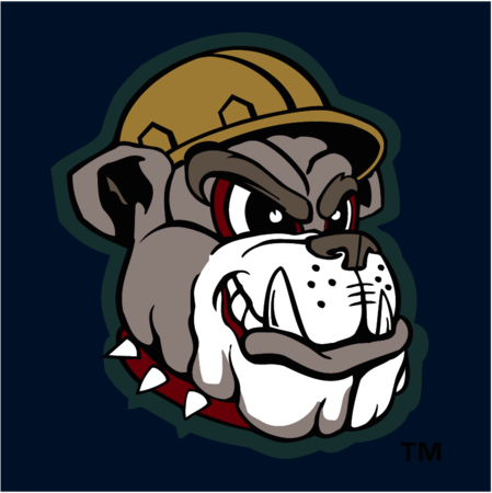 Mahoning Valley Scrappers