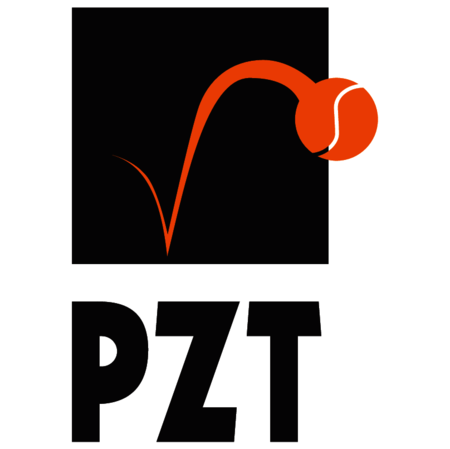 PZT
