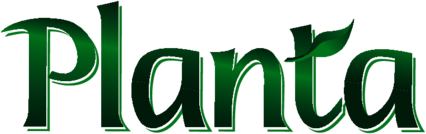 Planta