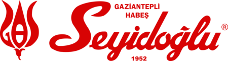 Seyidoglu