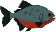 Piranha Drawing