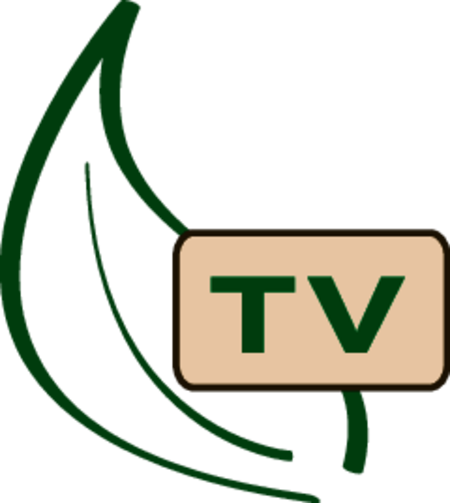 Green Lounge TV, Inc.