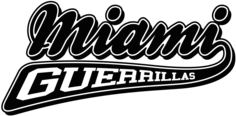 Miami Guerrilla Agency