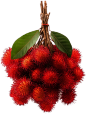 Bunch Of Rambutan