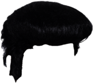 Wig Elvis