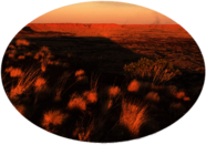 Great Sandy National Park