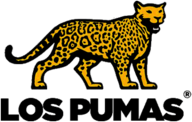 Los Pumas Rugby 