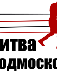 Битва Подмосковья