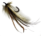 Fish Fly
