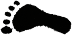 Carbon Footprint