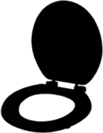 Black Toilet Seat
