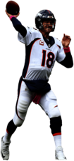 Denver Broncos Player