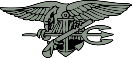 NAVY Seals