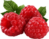 Three Large Raspberries