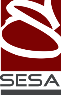 sesa ofis dekorasyon