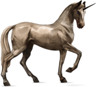 Unicorn Illustration