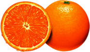 Orange Open Illustration