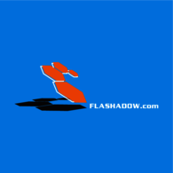 Flash Shadow