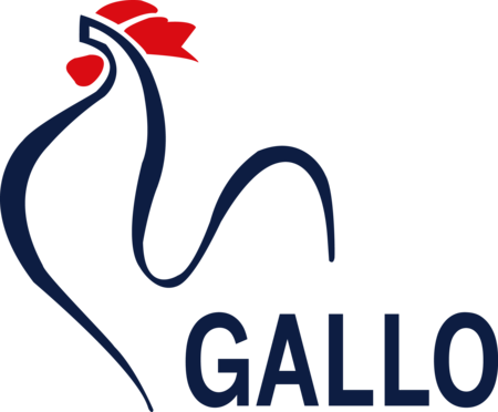 Gallo Papeleria