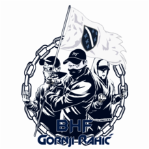 Bosnian Support Army