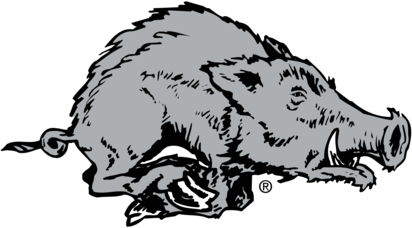 Arkansas Razorback 43413