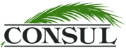 Consul