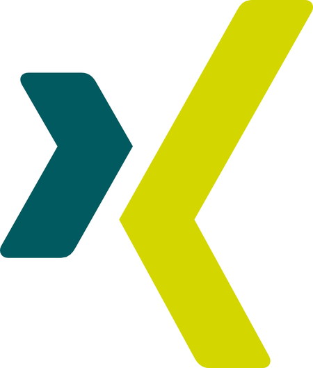 Xing icon
