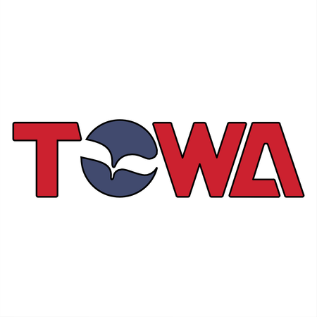 Towa Corporation